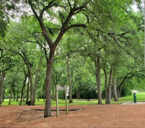 815 Ventura Park Irving TX 75061