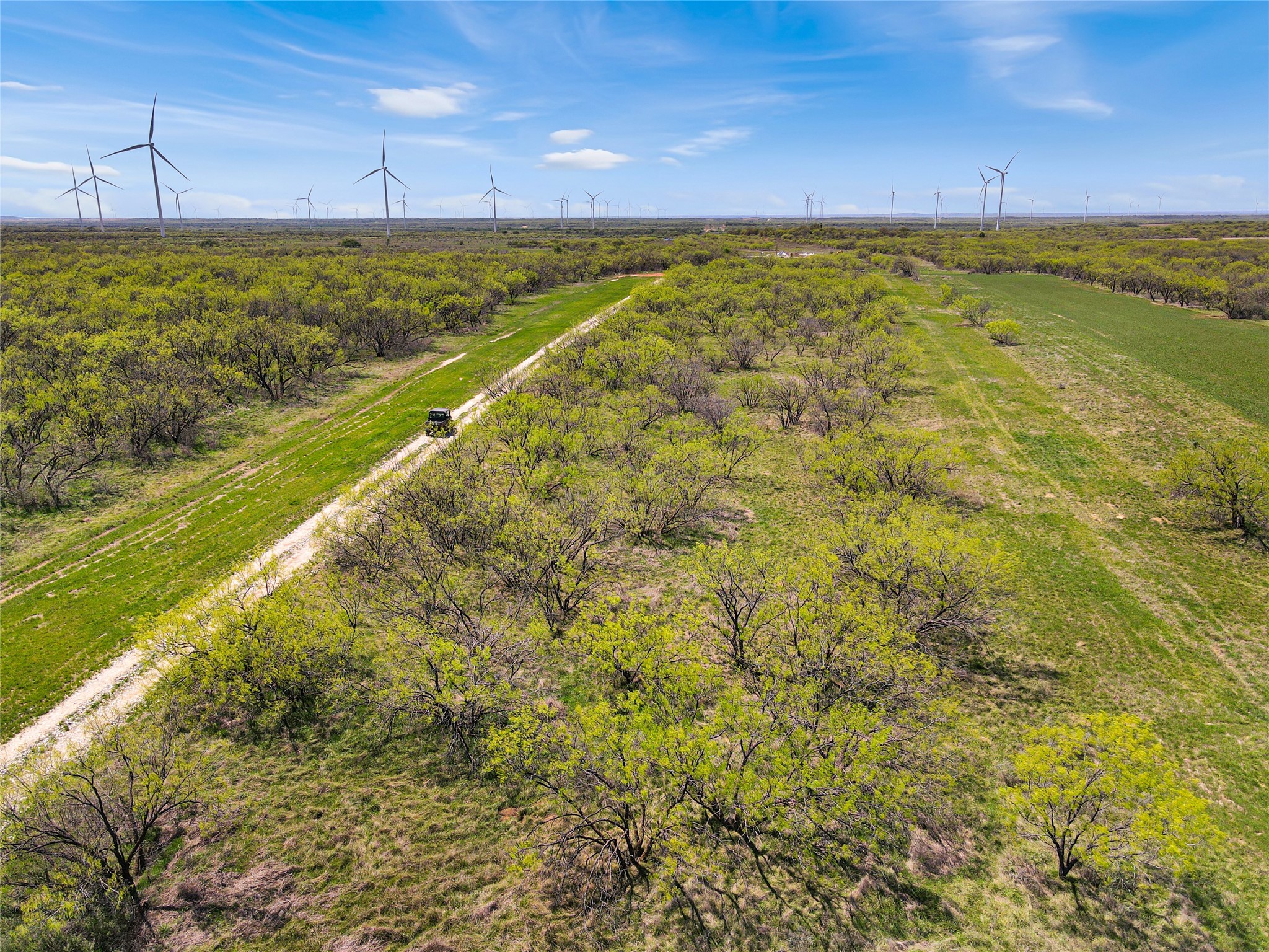 1116 County Road 107 Cisco TX 76437