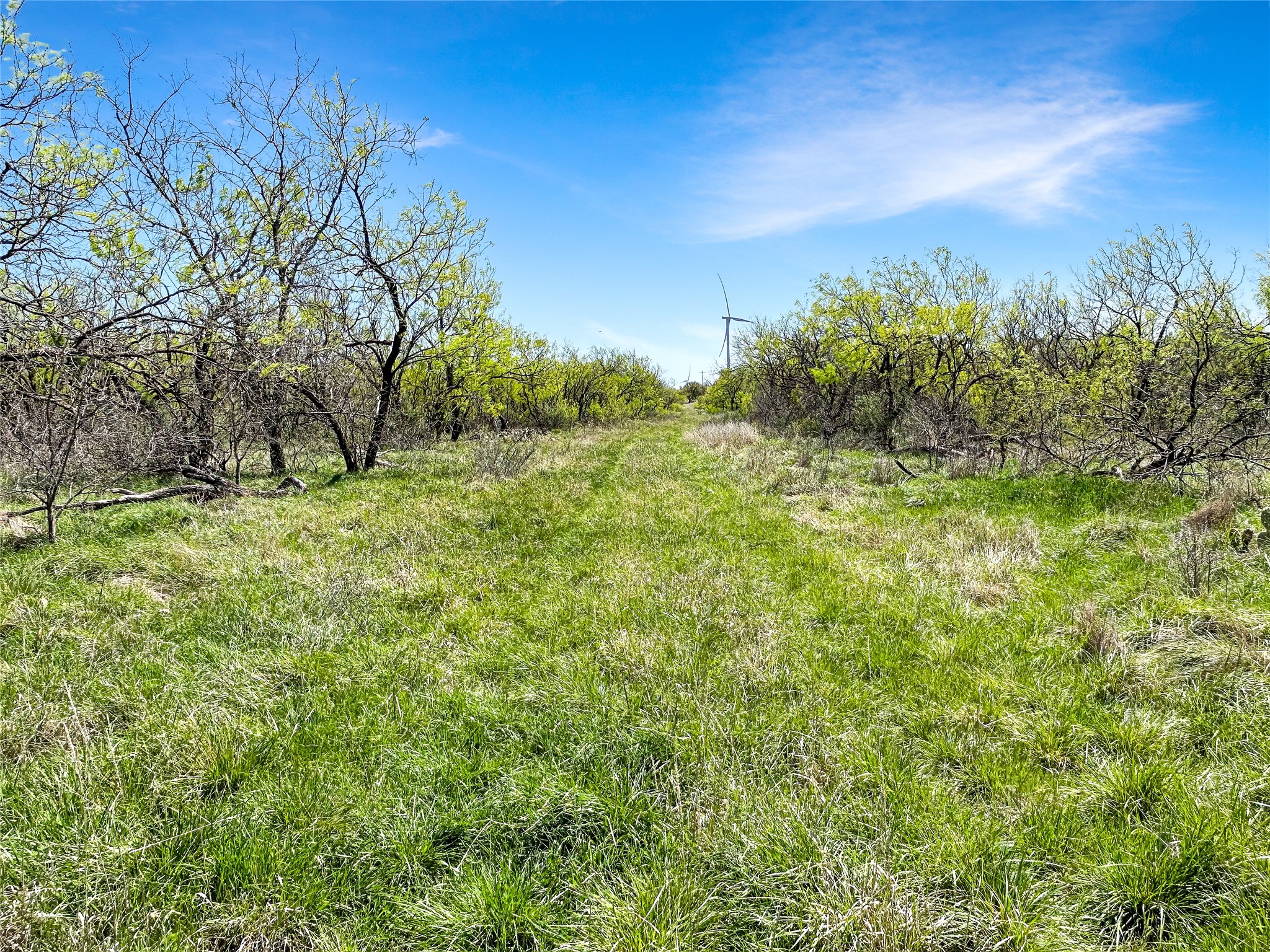 1116 County Road 107 Cisco TX 76437