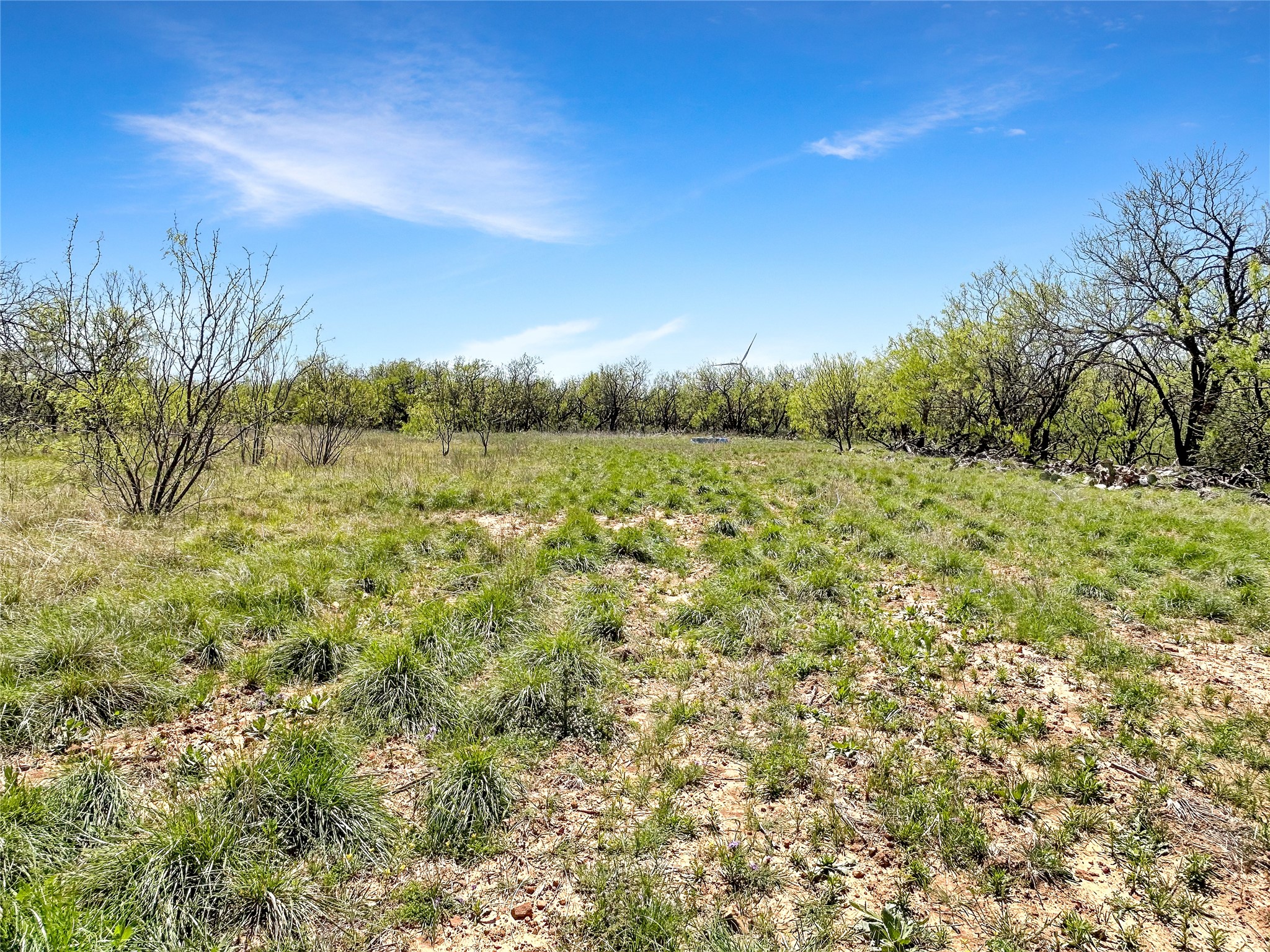 1116 County Road 107 Cisco TX 76437
