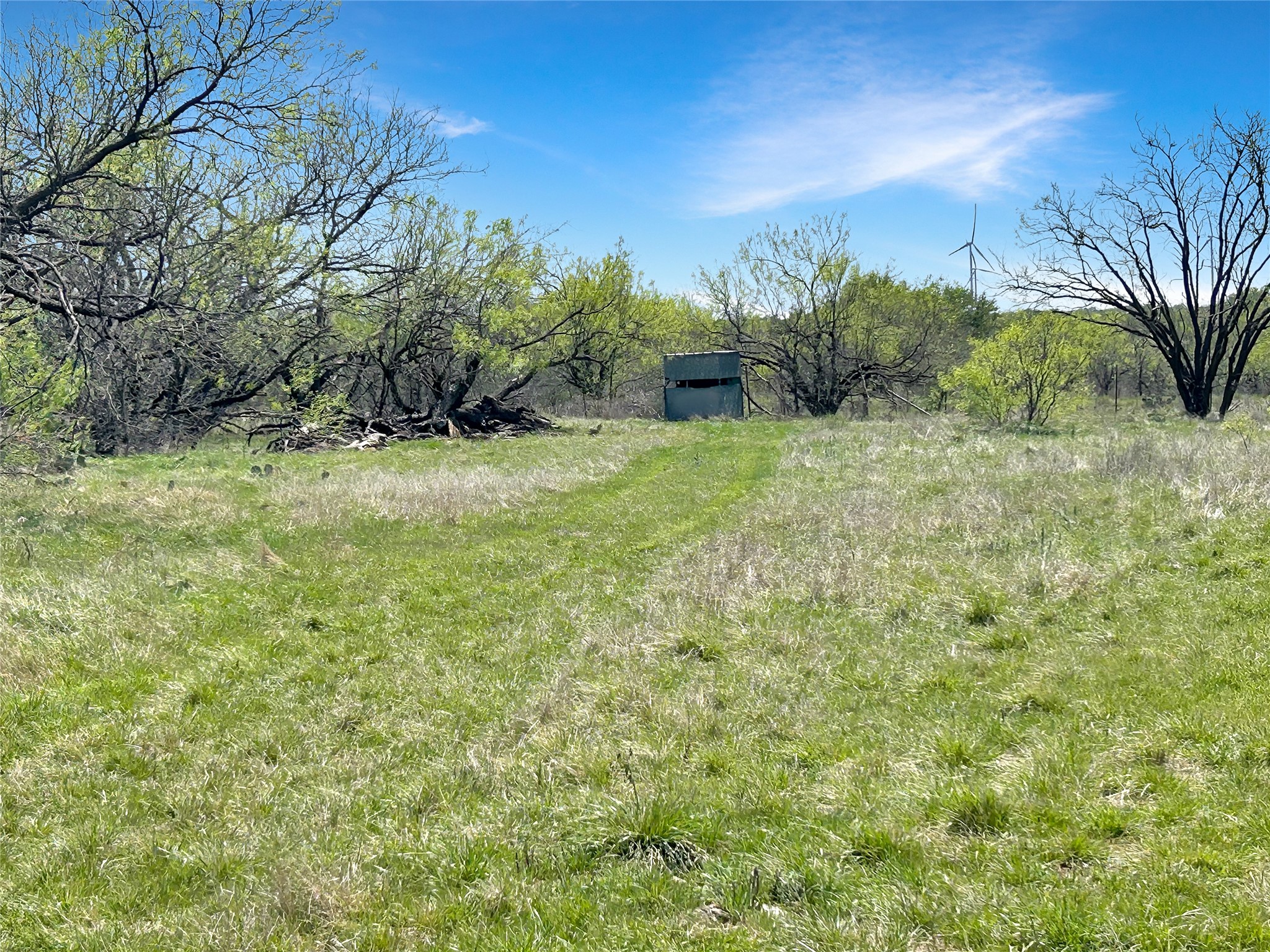 1116 County Road 107 Cisco TX 76437