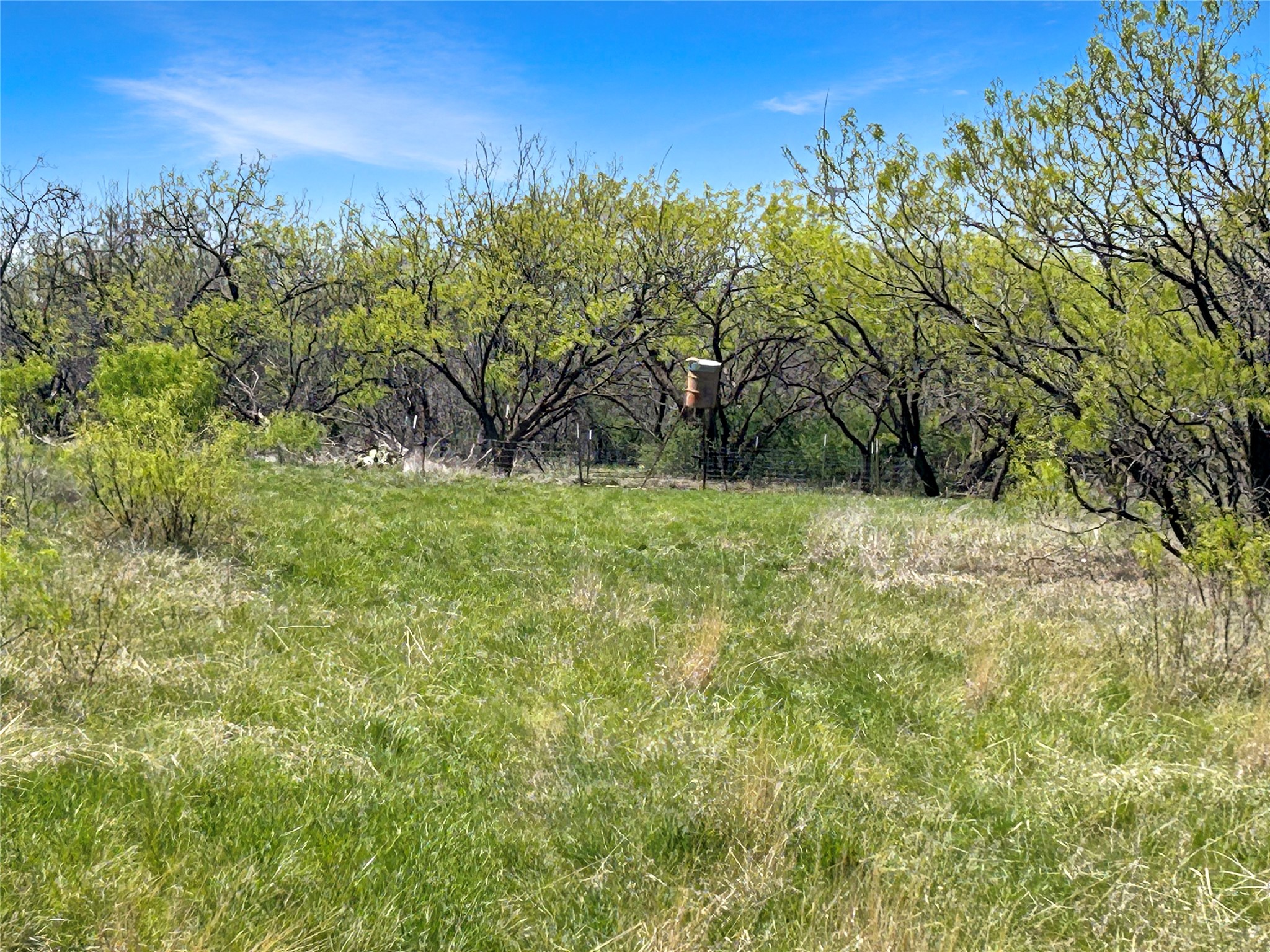 1116 County Road 107 Cisco TX 76437