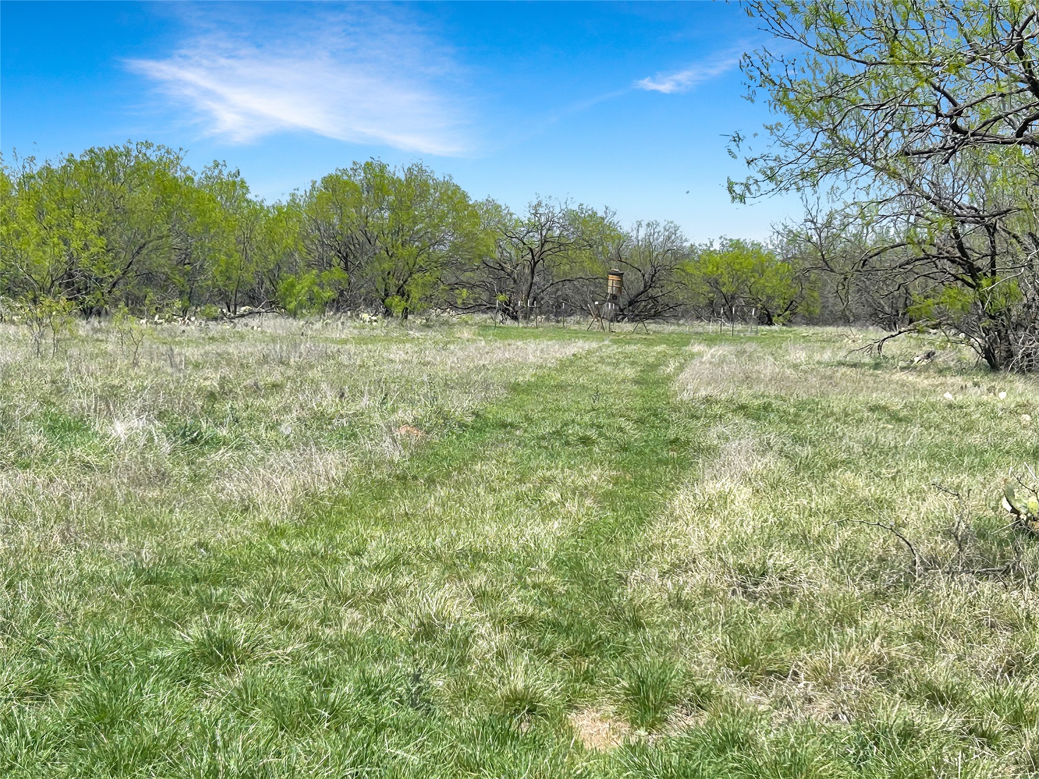 1116 County Road 107 Cisco TX 76437