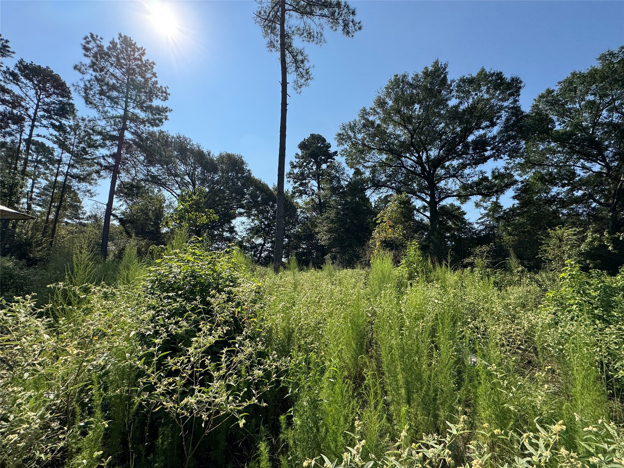 6446 Fm 752 Rusk TX 75785