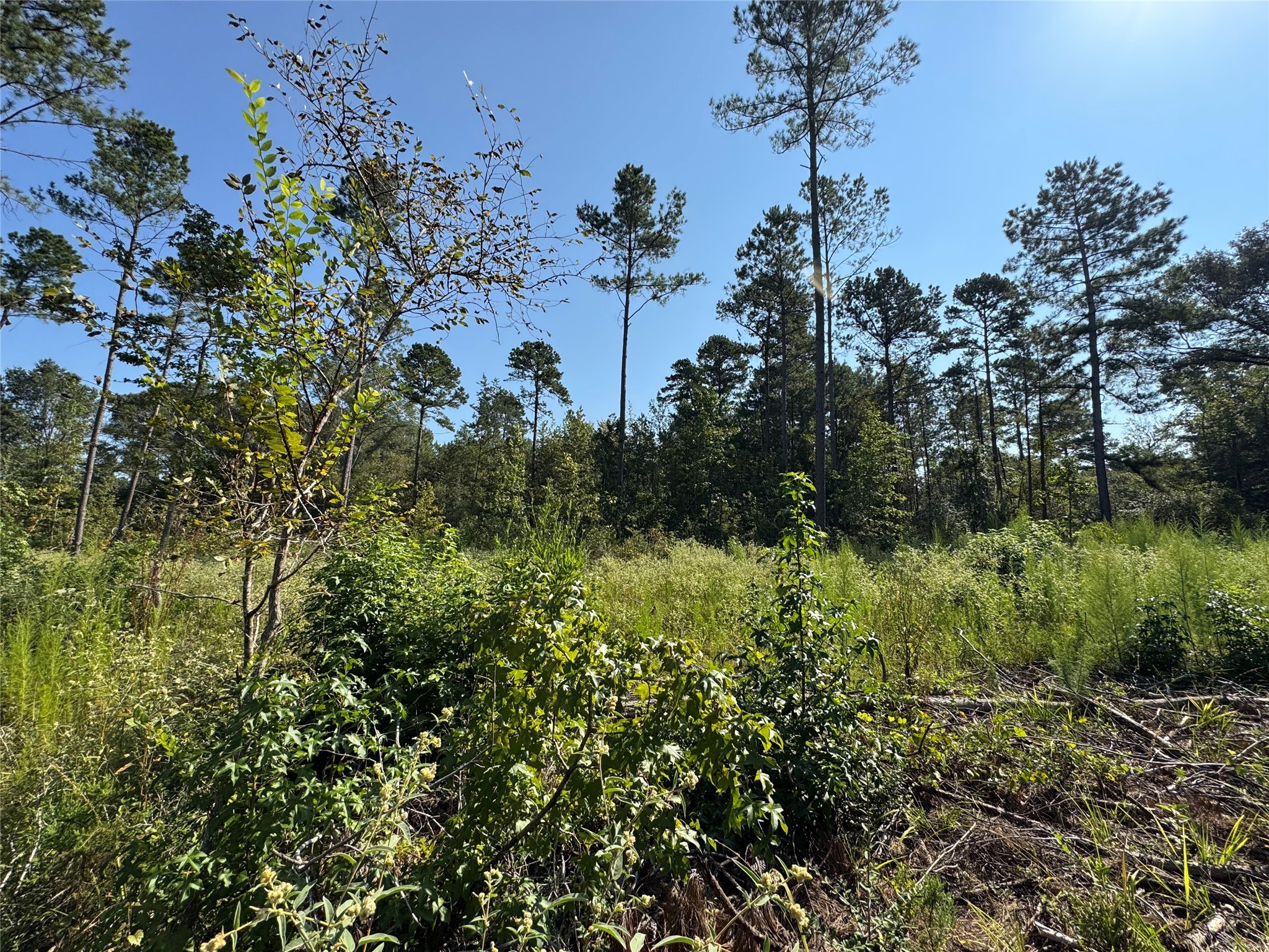 6446 Fm 752 Rusk TX 75785