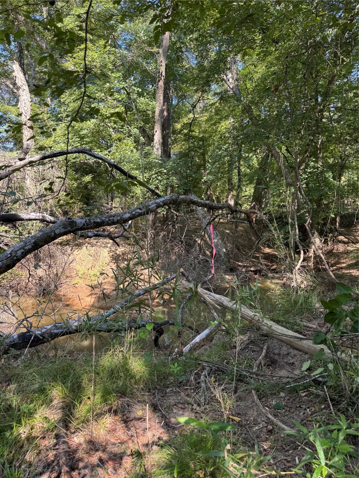 6446 Fm 752 Rusk TX 75785