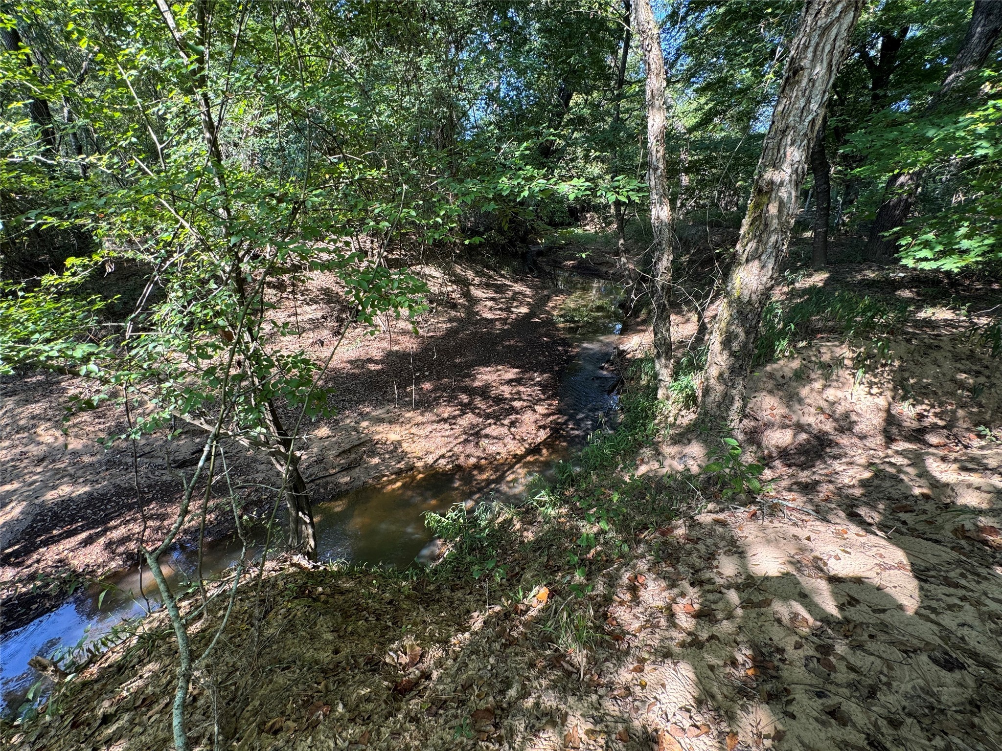 6446 Fm 752 Rusk TX 75785