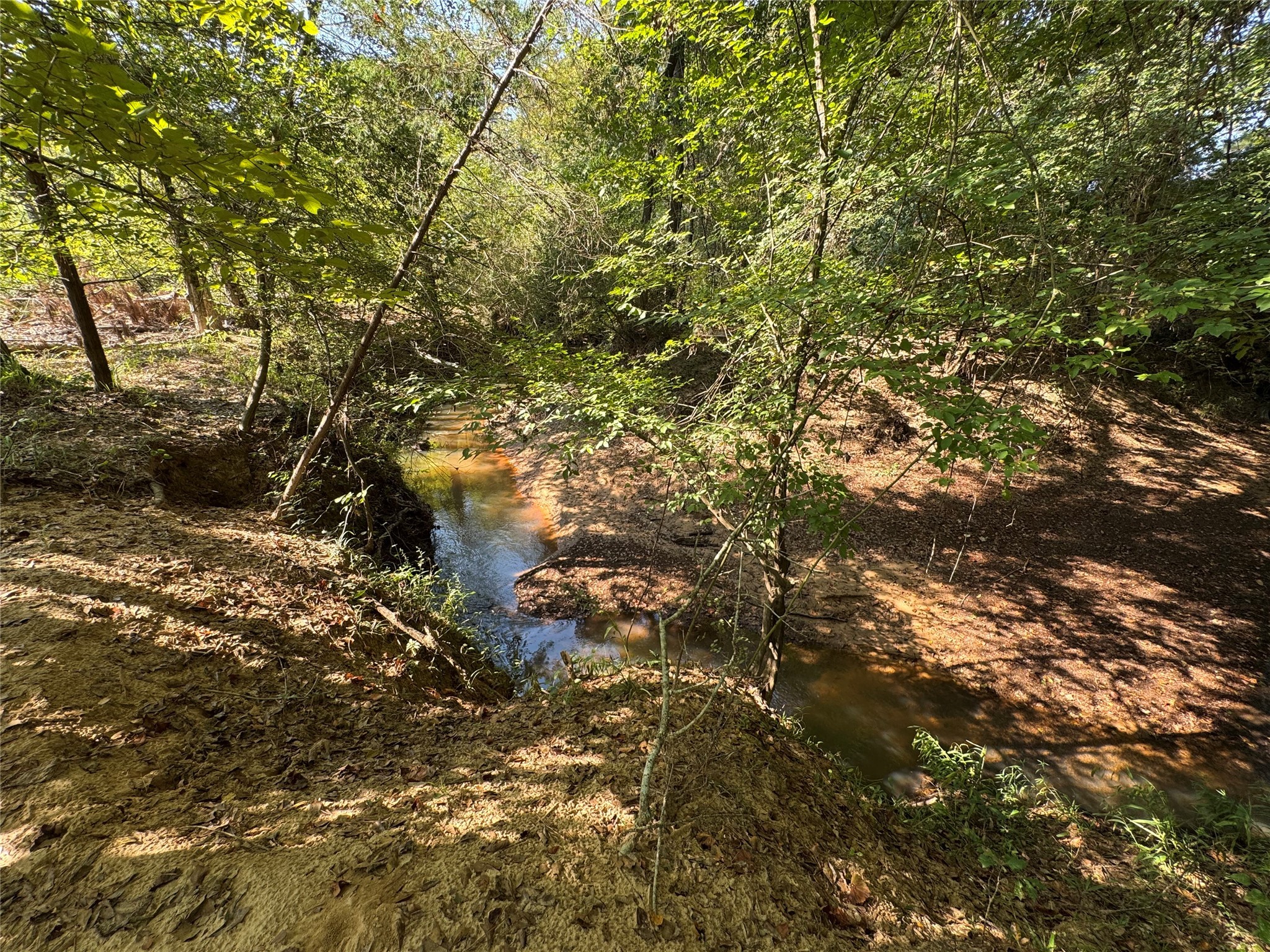 6446 Fm 752 Rusk TX 75785