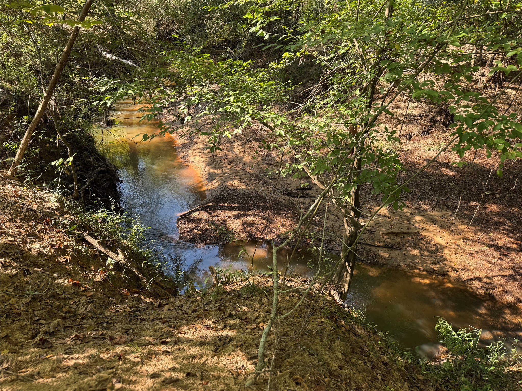 6446 Fm 752 Rusk TX 75785