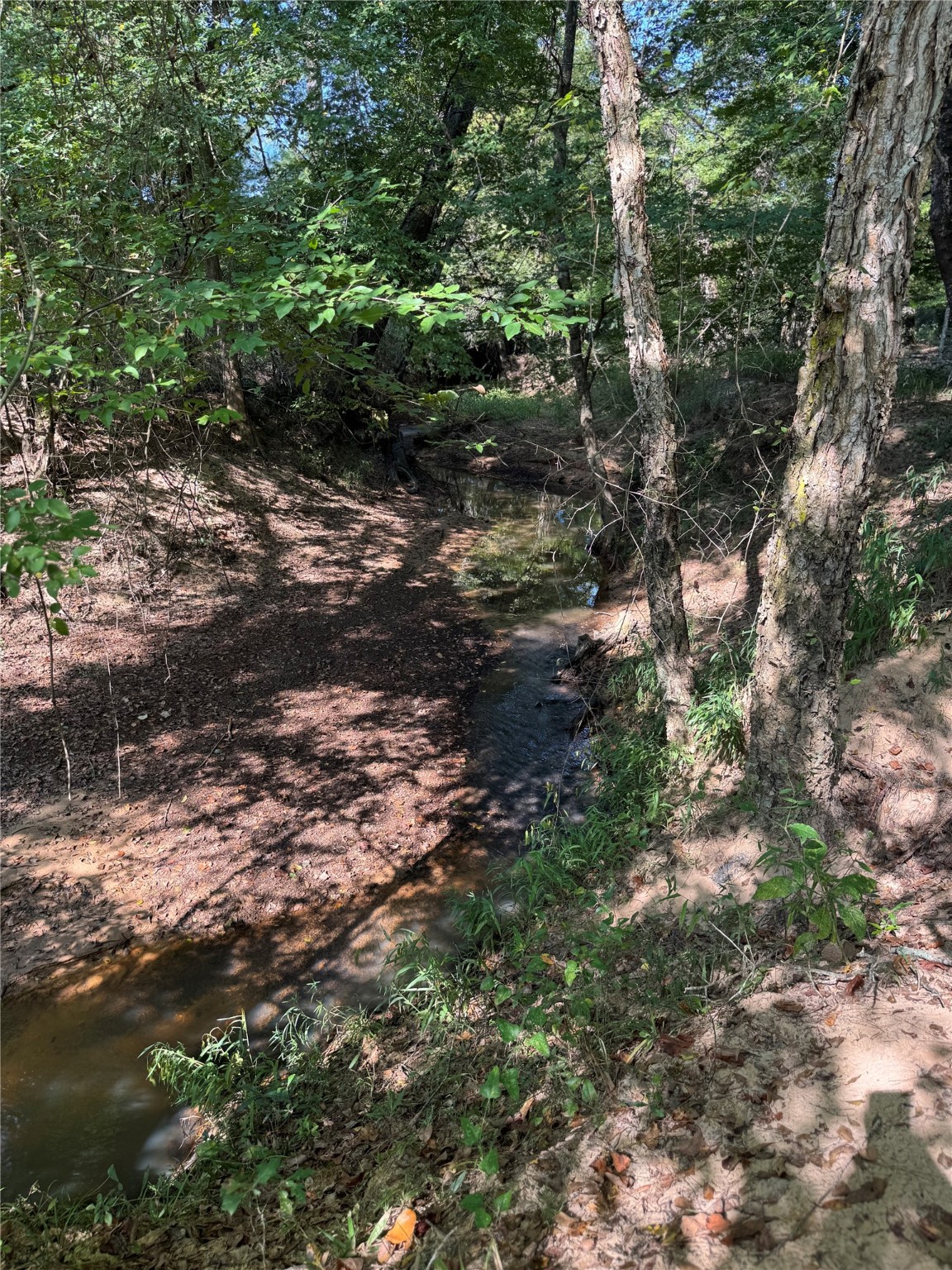 6446 Fm 752 Rusk TX 75785