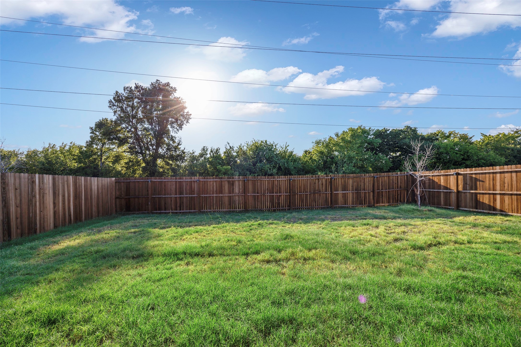 3717 Tracewood Bend Aubrey TX 76227