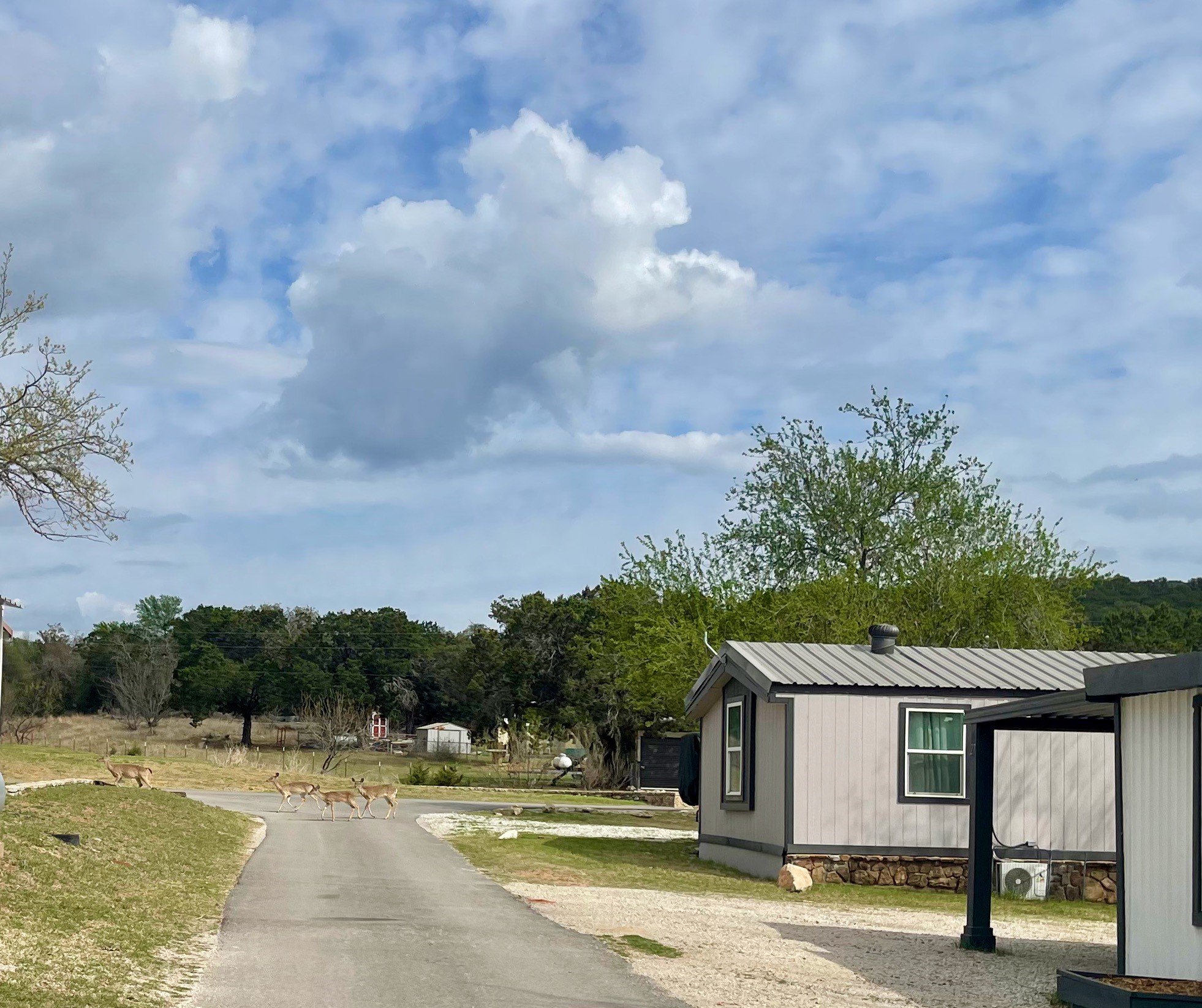 2334 Sanbar Road Possum Kingdom Lake TX 76449