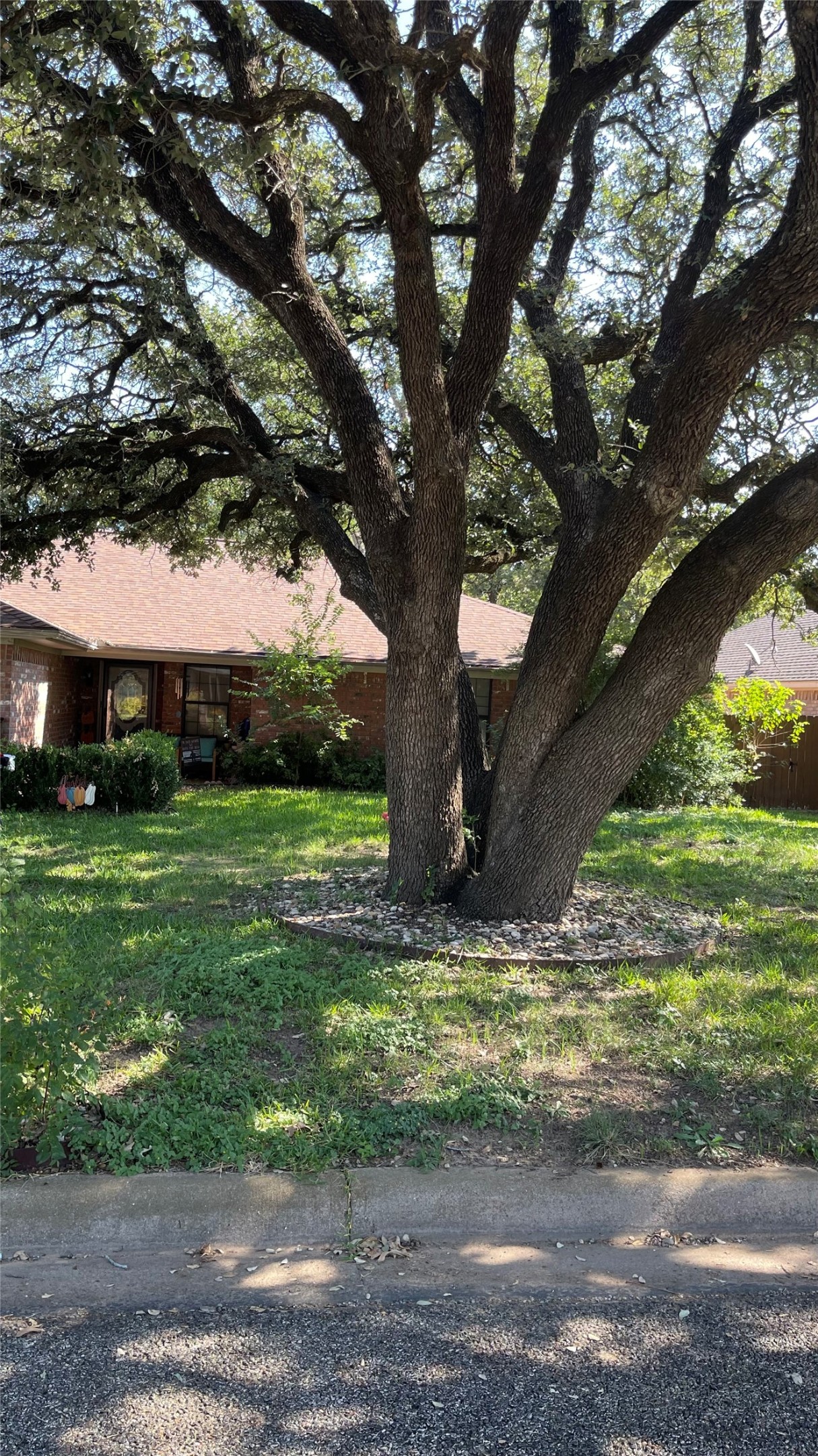 1809 N Cypress Avenue Stephenville TX 76401