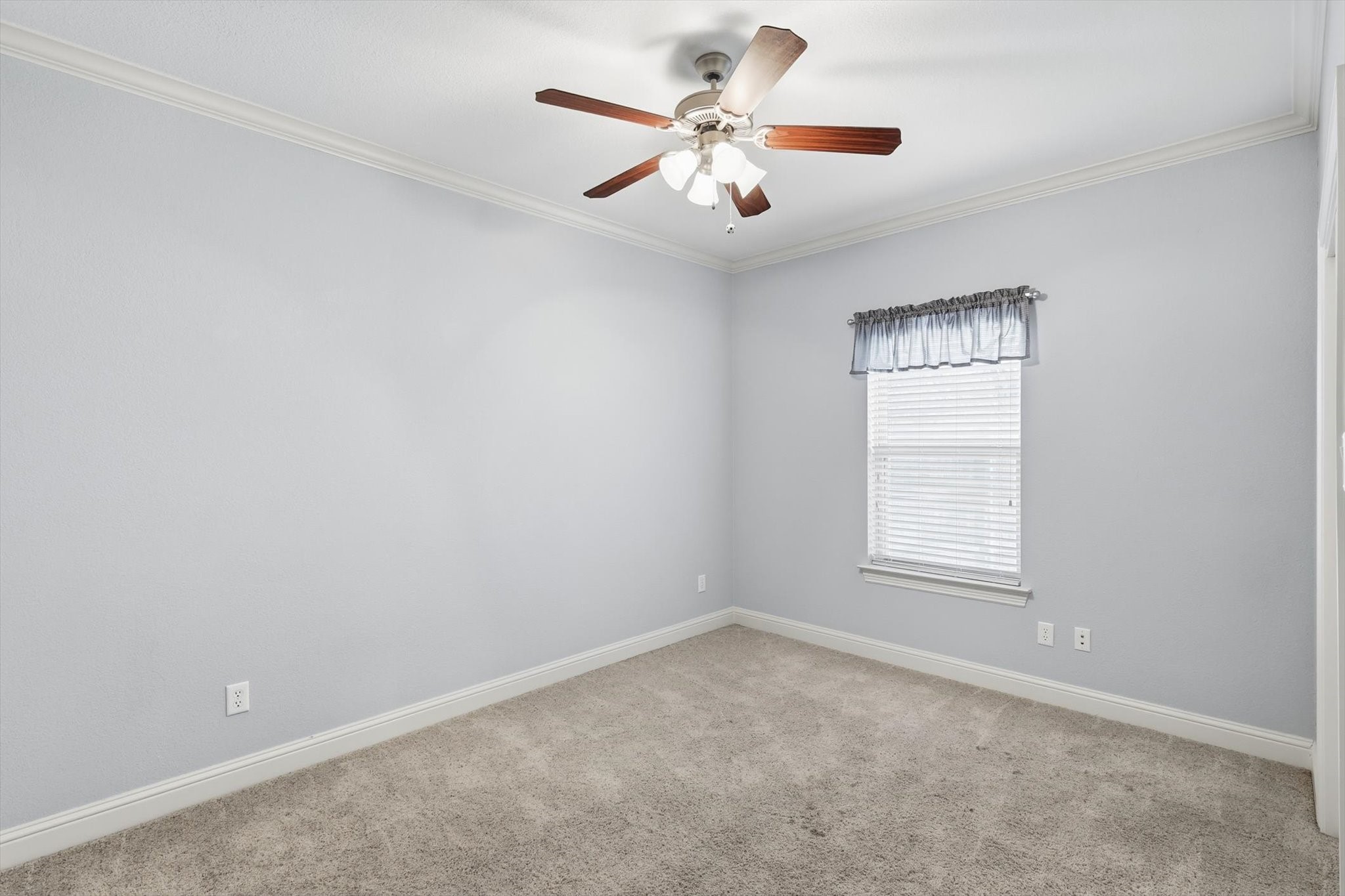 204 Trailwood Drive Euless TX 76039