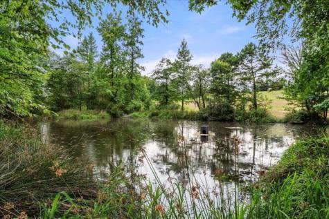 274 Cr 3230 SW Winnsboro TX 75494