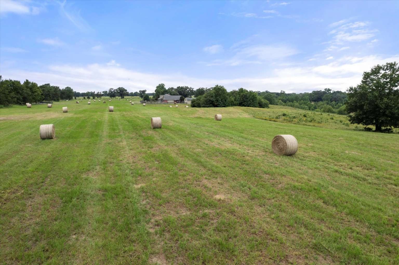 274 Cr 3230 SW Winnsboro TX 75494