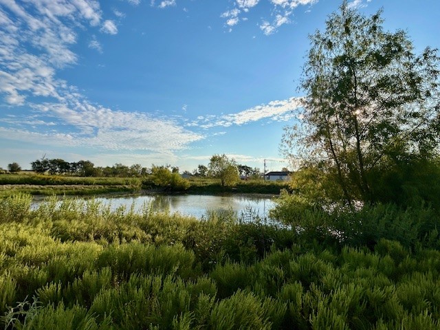 7390 W Highway 164 Mart TX 76687