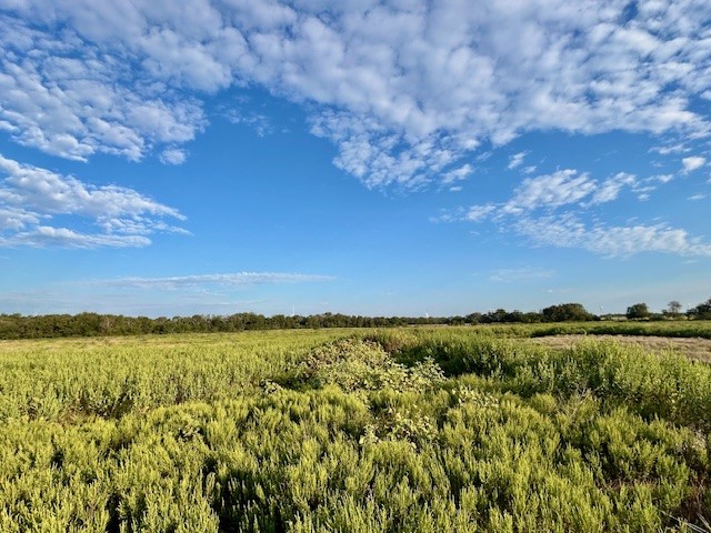 7390 W Highway 164 Mart TX 76687