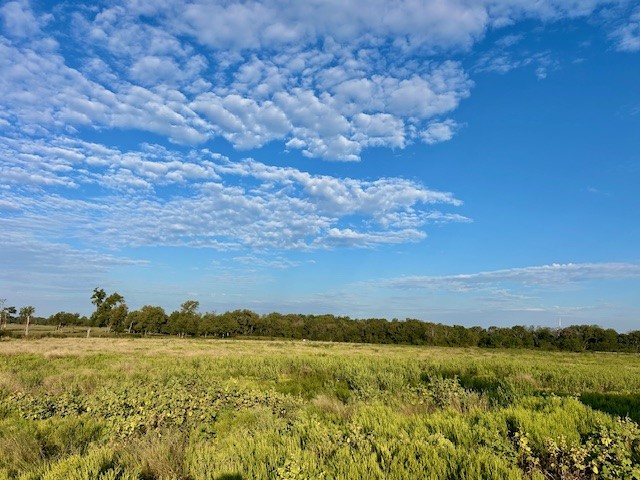 7390 W Highway 164 Mart TX 76687