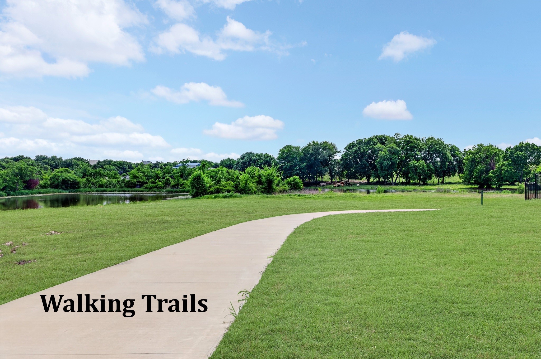829 Poppie Lane Midlothian TX 76065