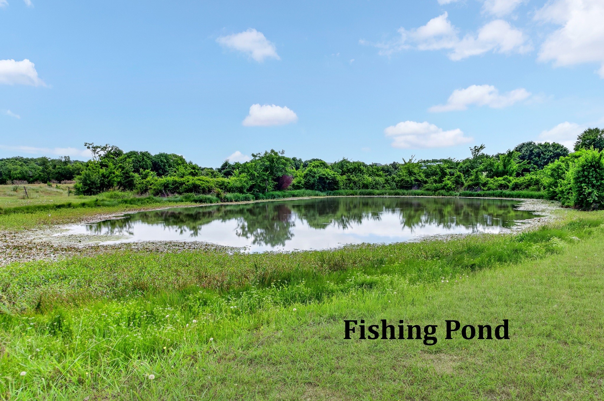 829 Poppie Lane Midlothian TX 76065