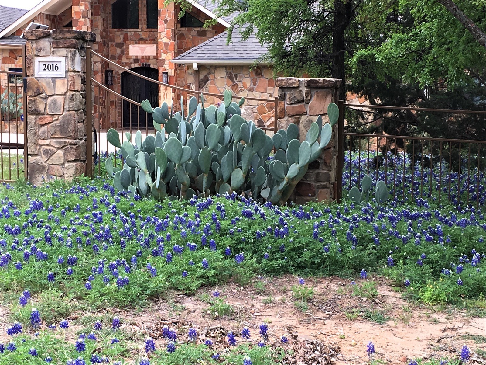 2016 N Lakeview Drive Palo Pinto TX 76484