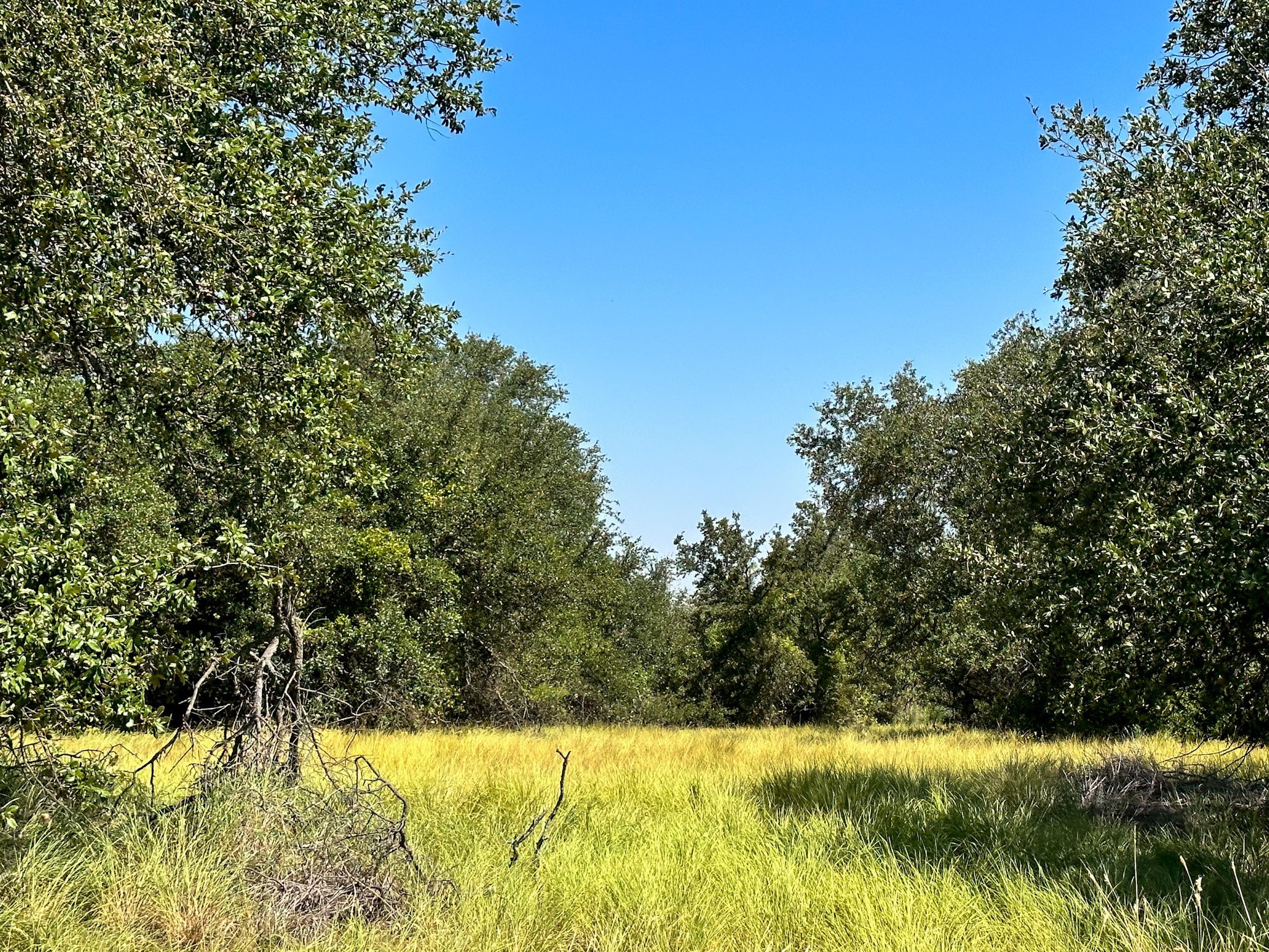 12300 County Road 367 May TX 76857