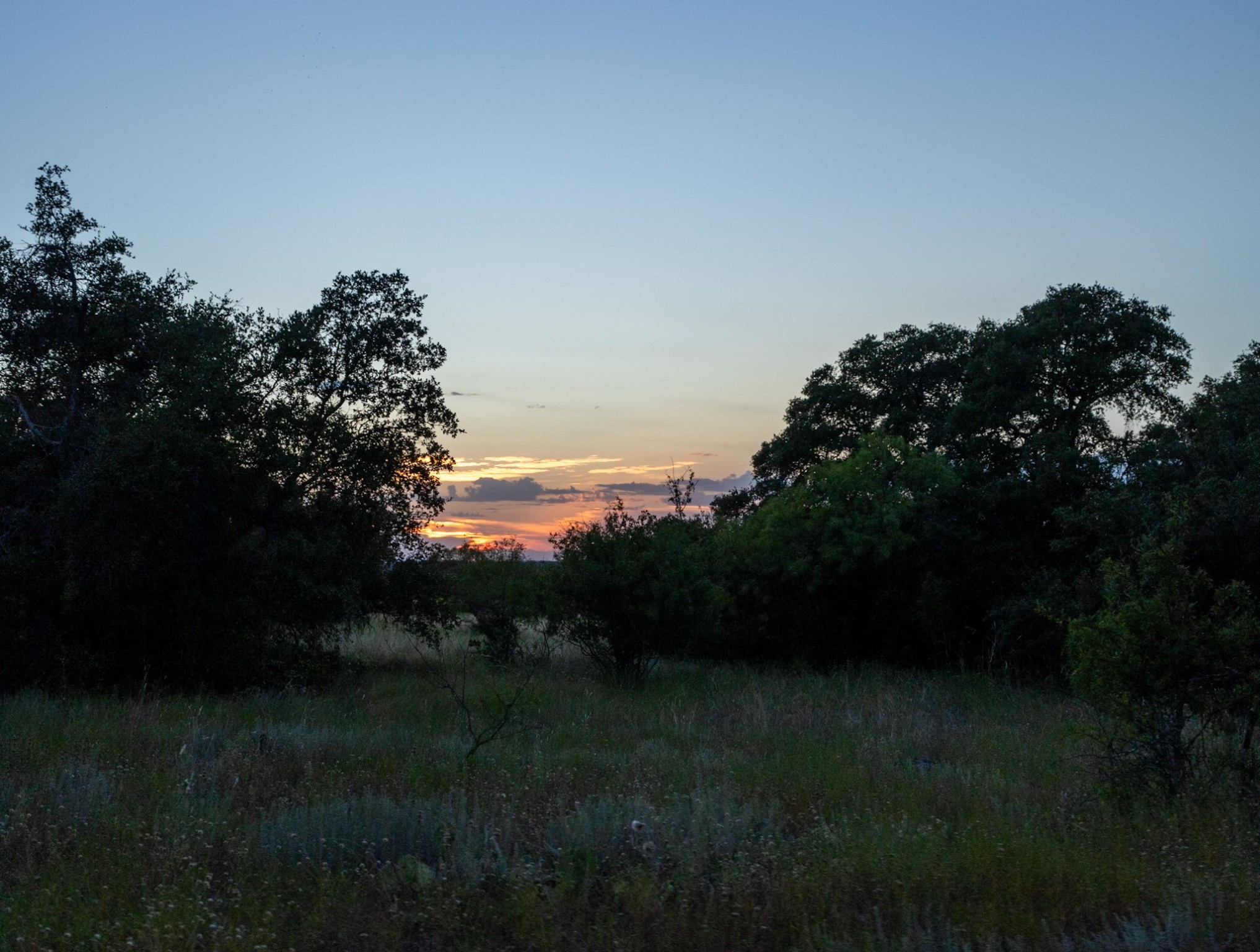 12300 County Road 367 May TX 76857