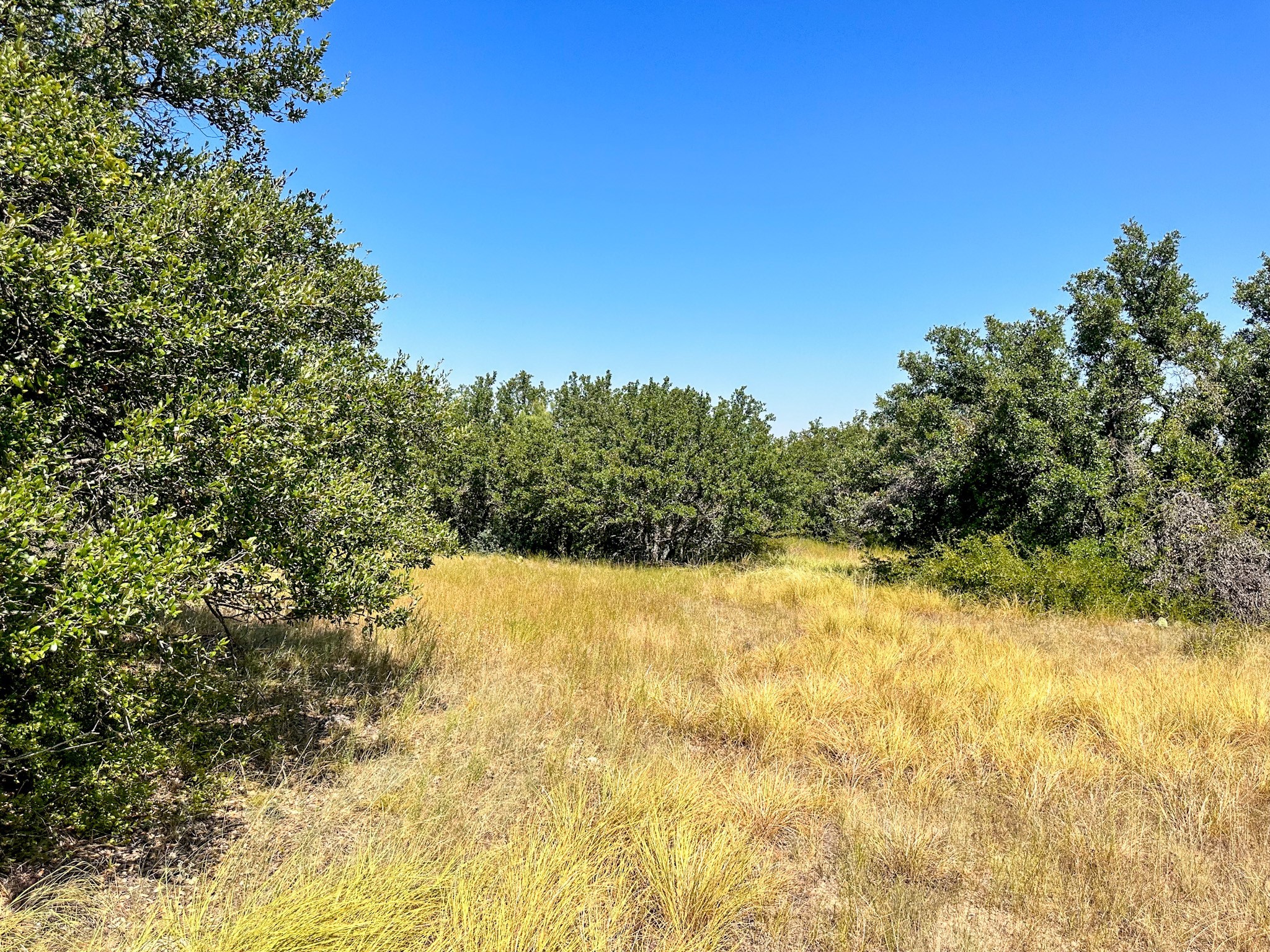 12300 County Road 367 May TX 76857