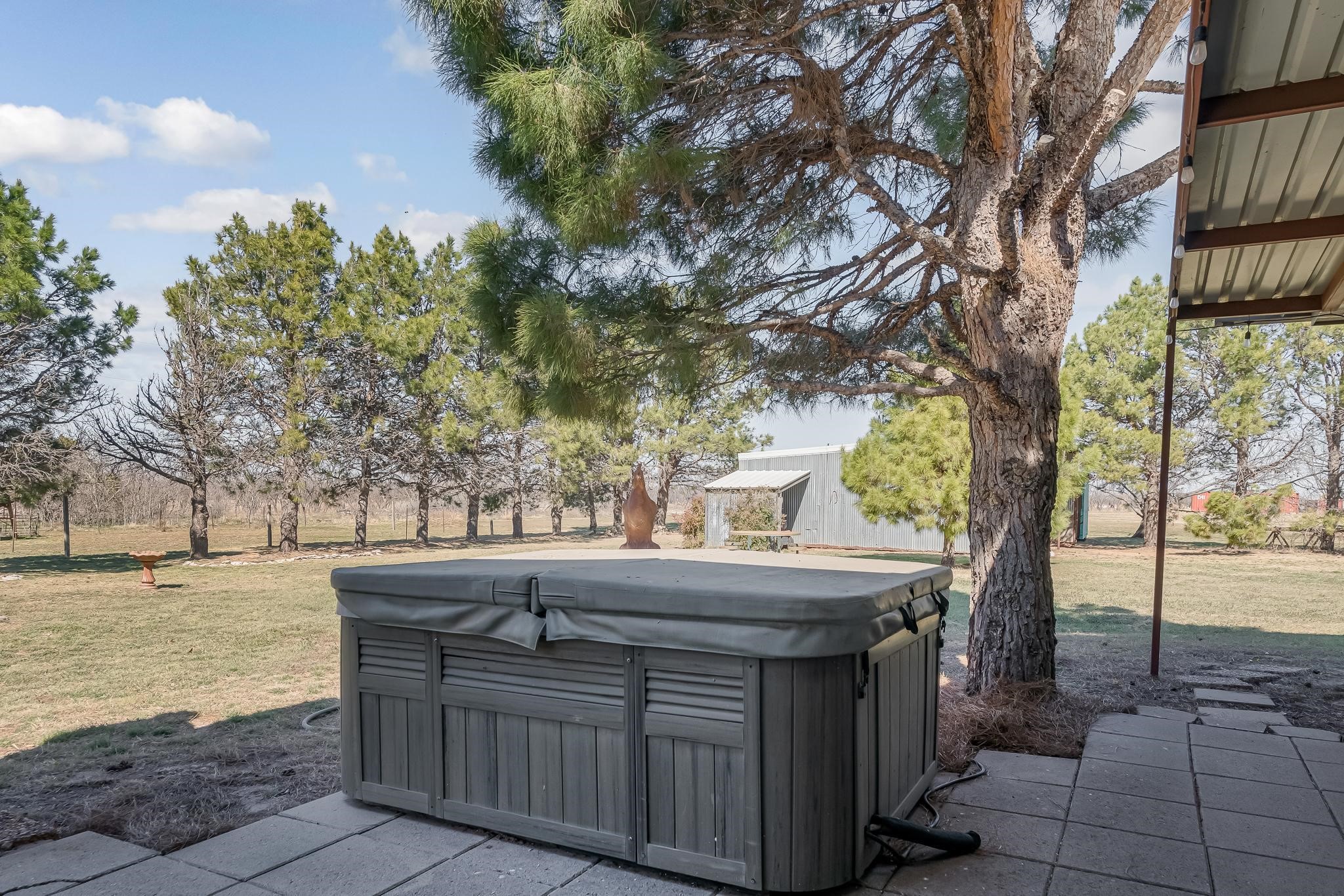 310 County Road 336 Tuscola TX 79562