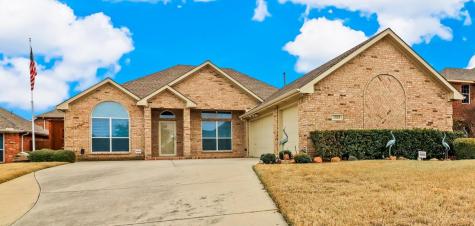 1505 Elika Court Lewisville TX 75067