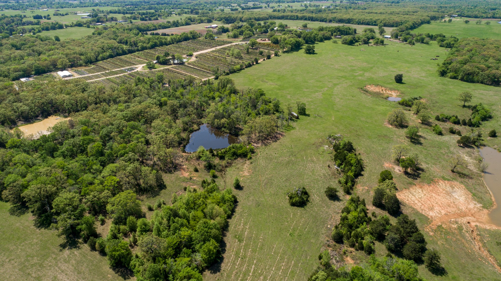 530 County Road 1123 Fruitvale TX 75127