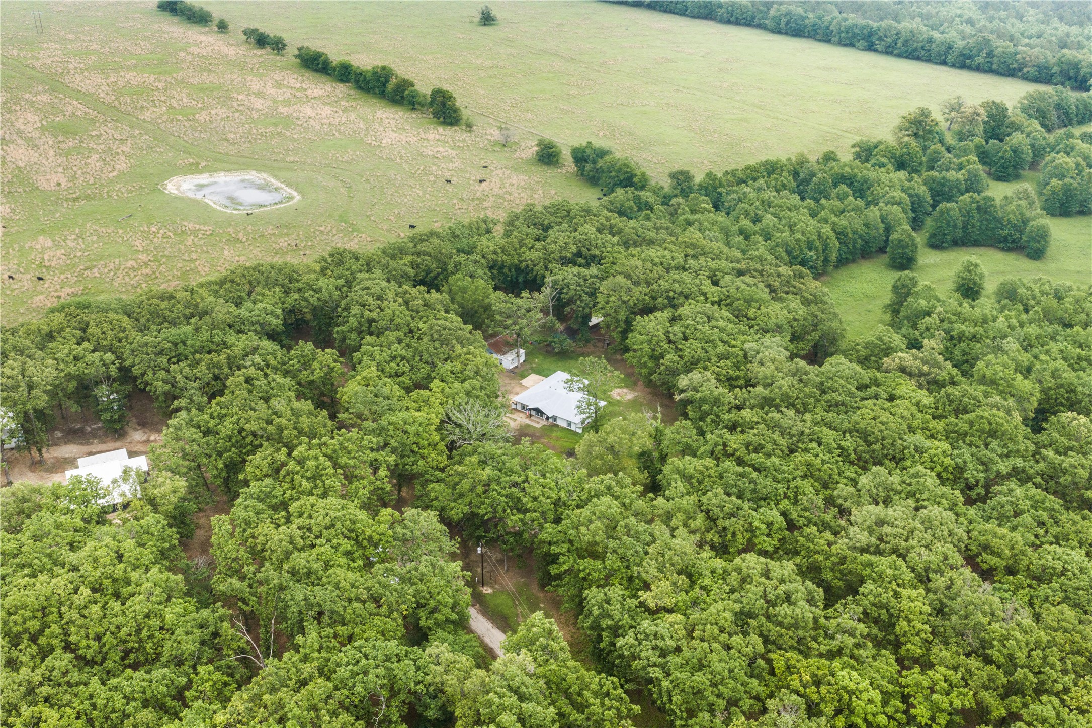 454 County Road 1485 Bogata TX 75417