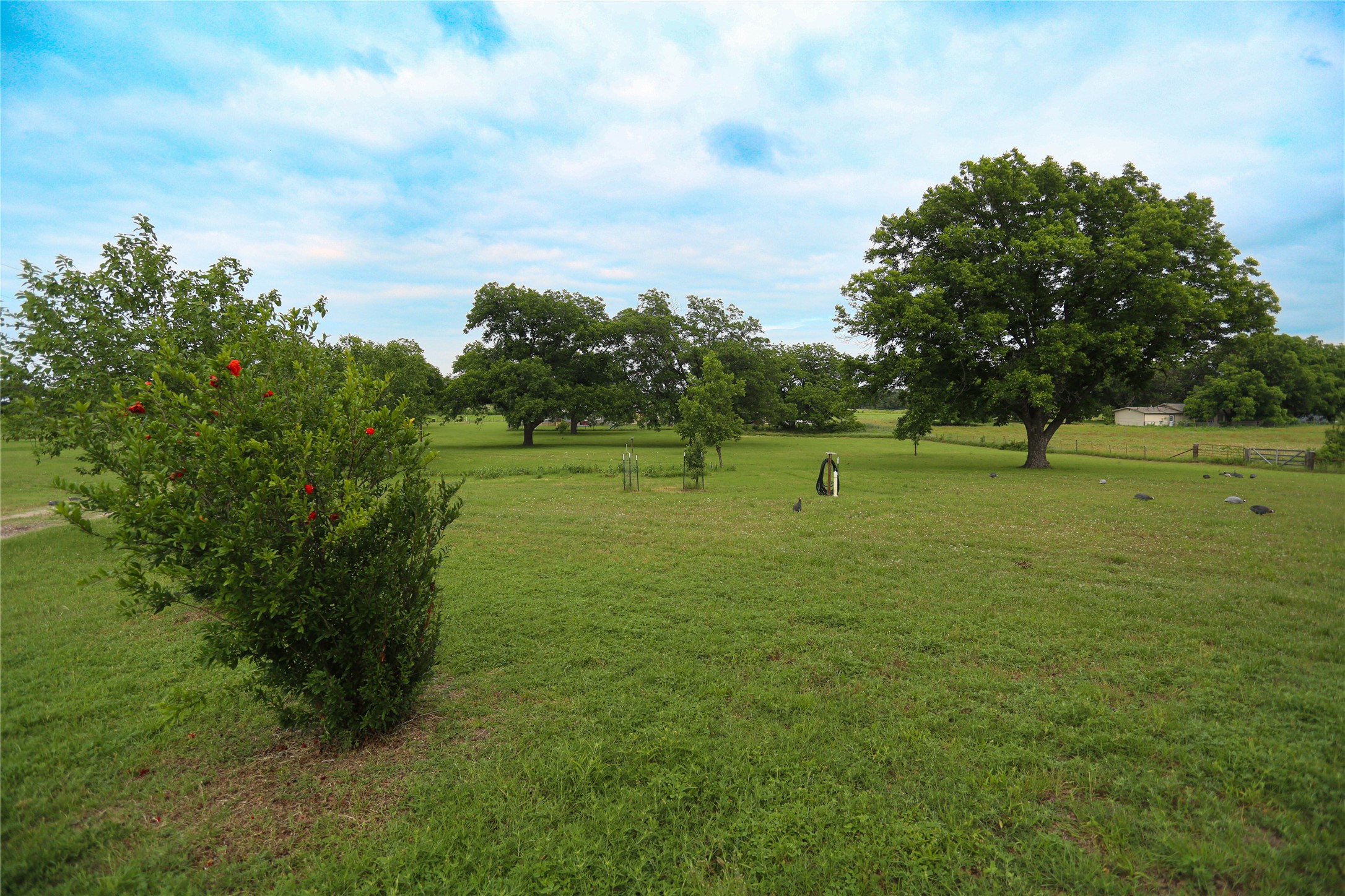 1166 County Road 403 Comanche TX 76442