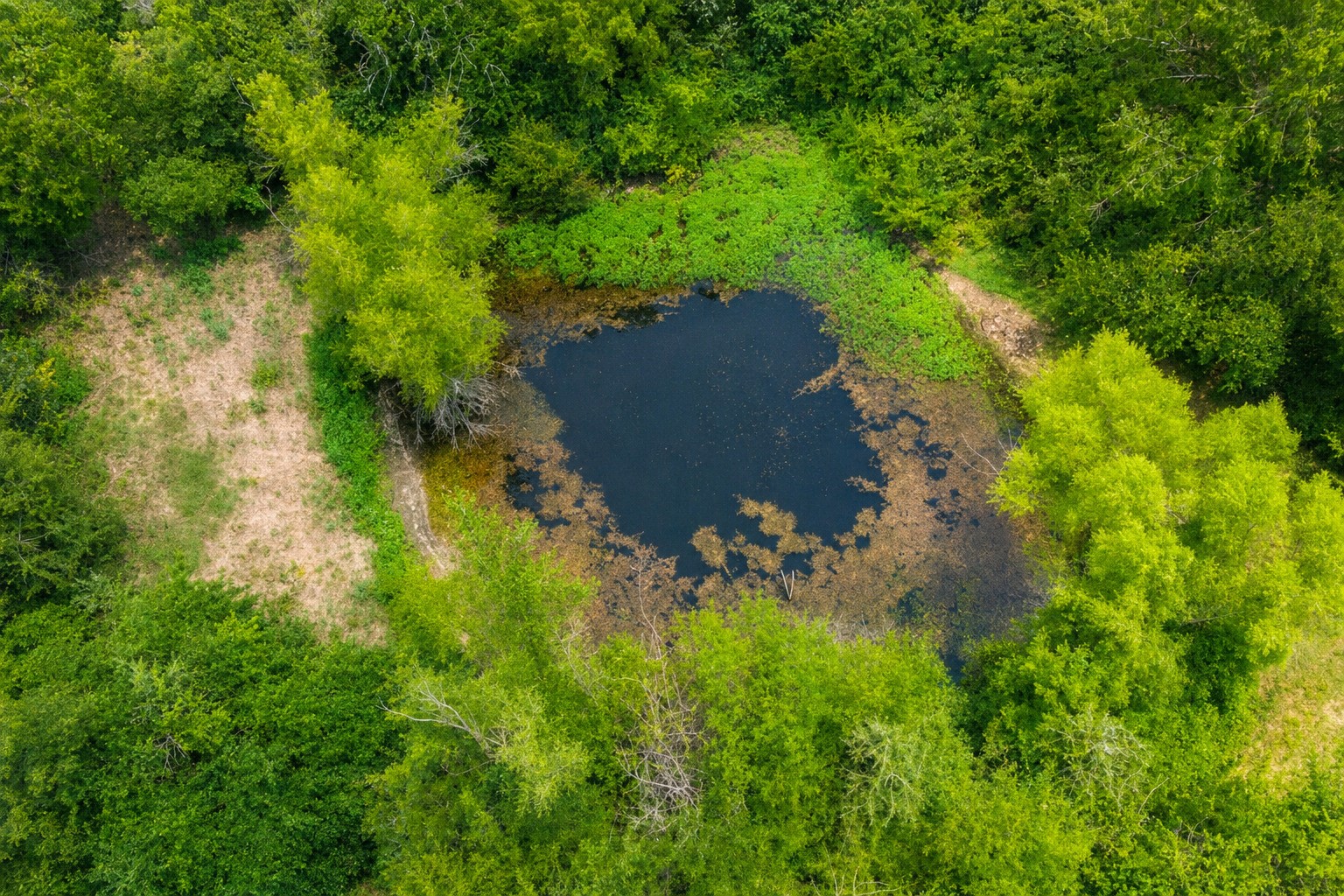 479 County Road 27450 Honey Grove TX 75477