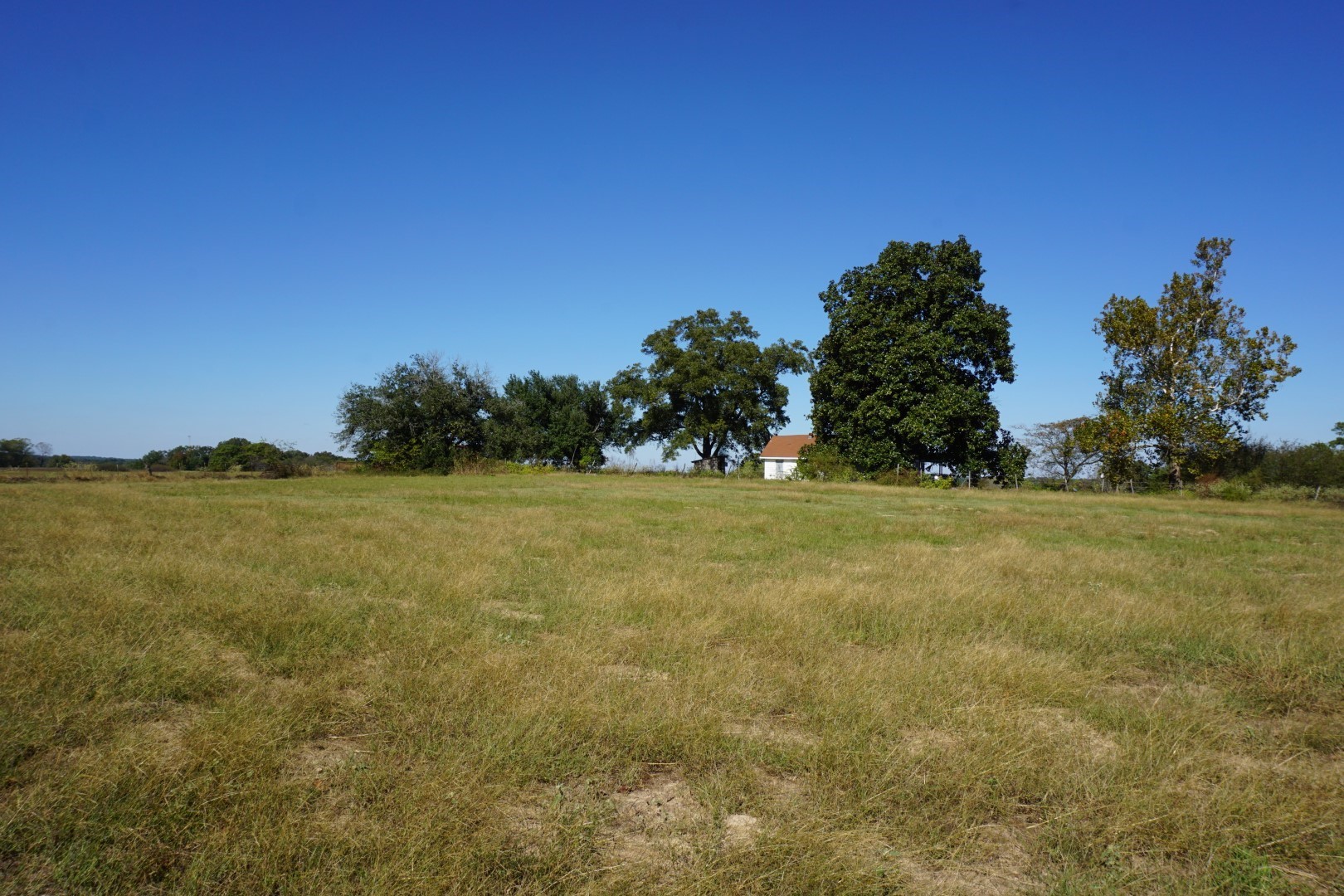 CR4301 Plainview Road Naples TX 75571