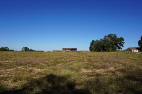 CR4301 Plainview Road Naples TX 75571