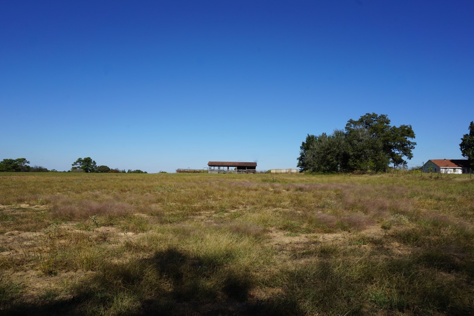 CR4301 Plainview Road Naples TX 75571
