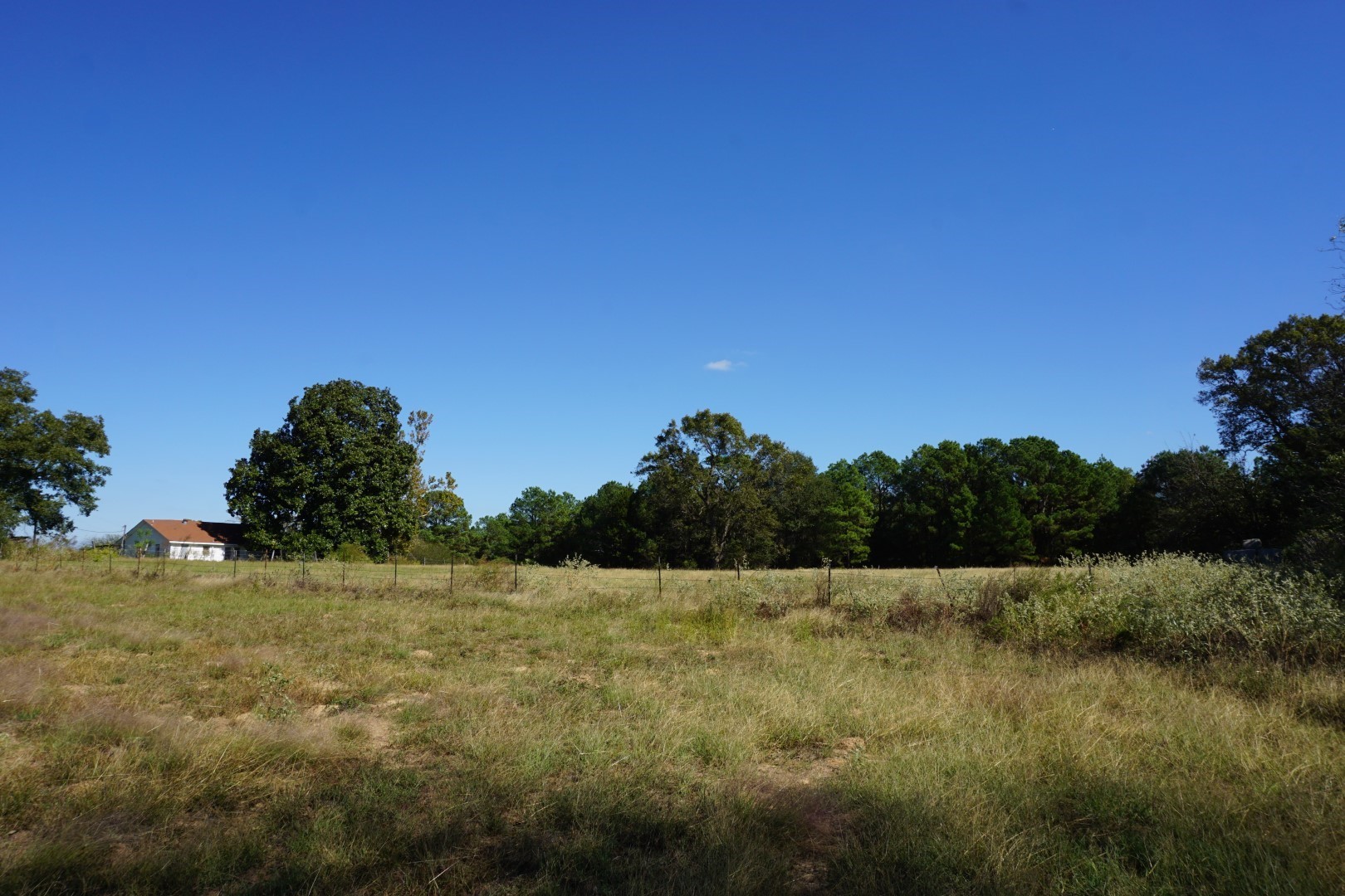 CR4301 Plainview Road Naples TX 75571