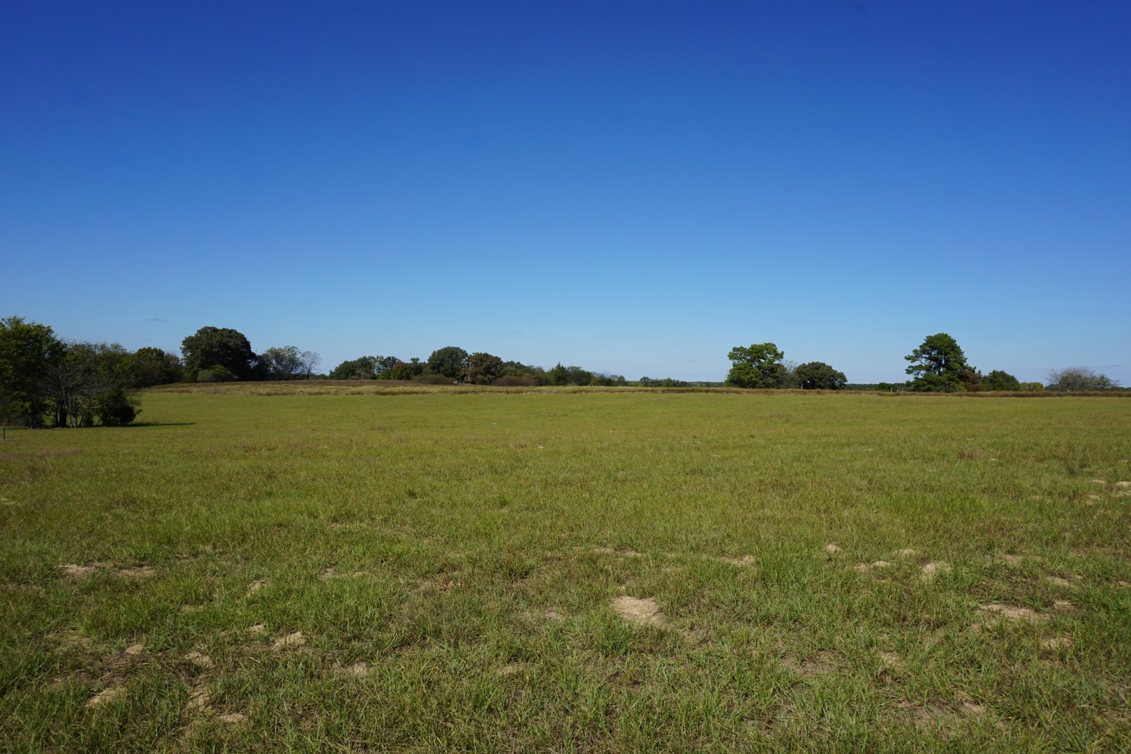 CR4301 Plainview Road Naples TX 75571