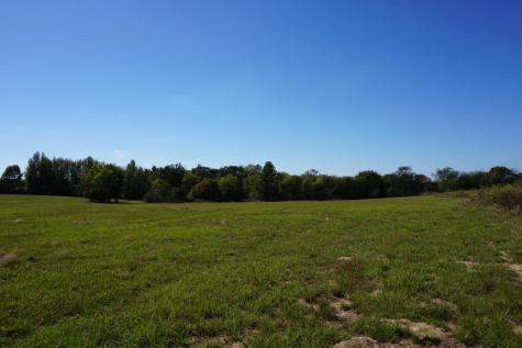 CR4301 Plainview Road Naples TX 75571