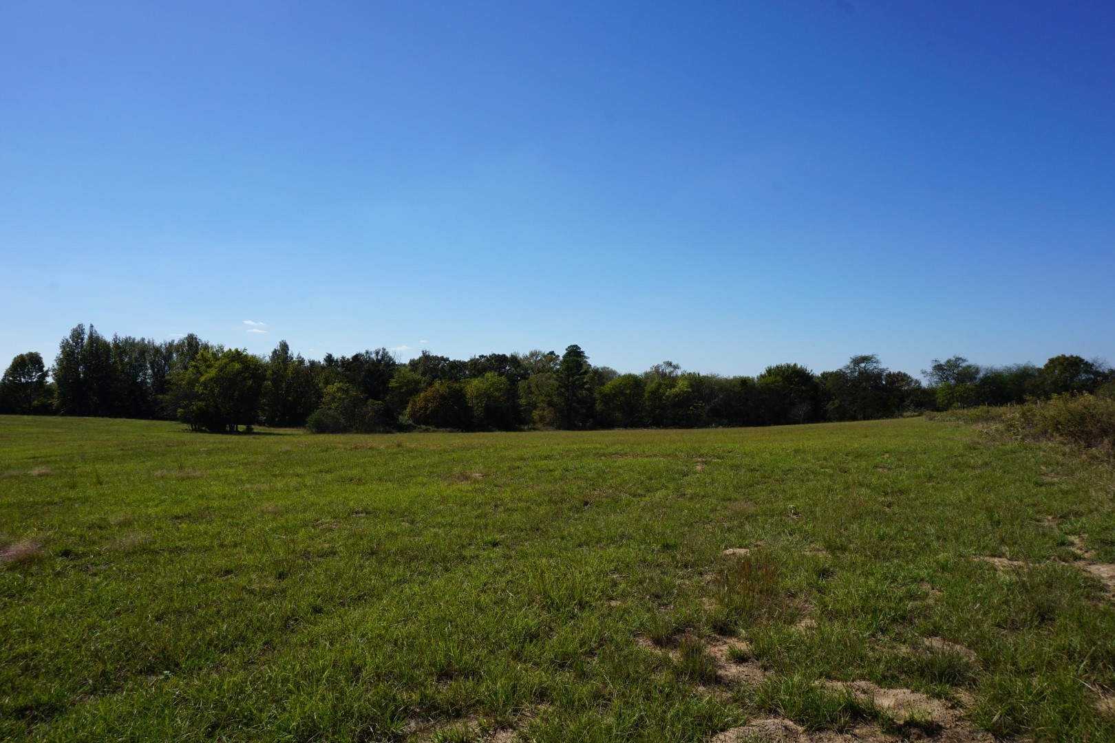 CR4301 Plainview Road Naples TX 75571