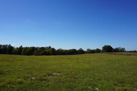 CR4301 Plainview Road Naples TX 75571