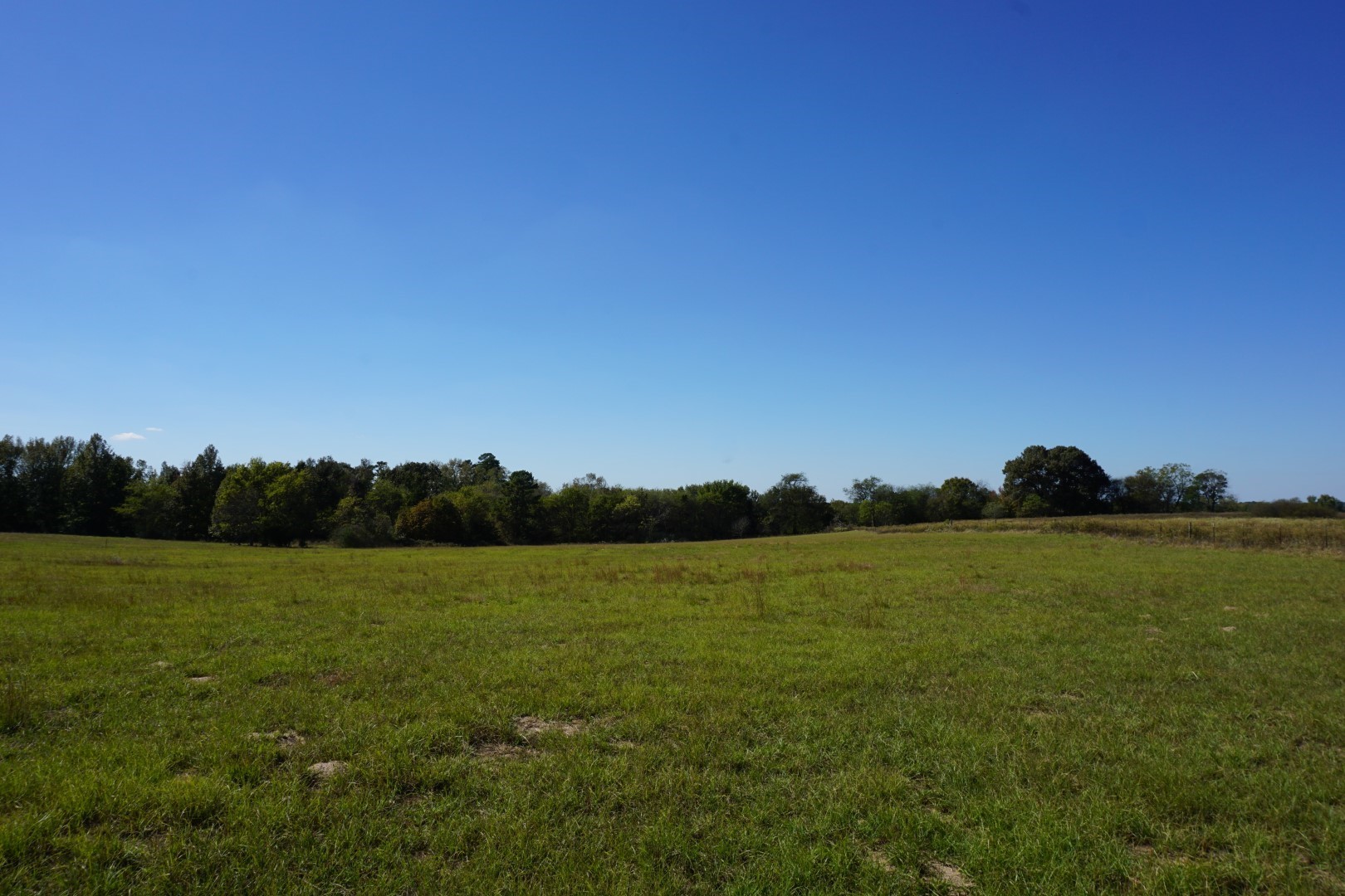 CR4301 Plainview Road Naples TX 75571