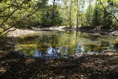 CR4301 Plainview Road Naples TX 75571
