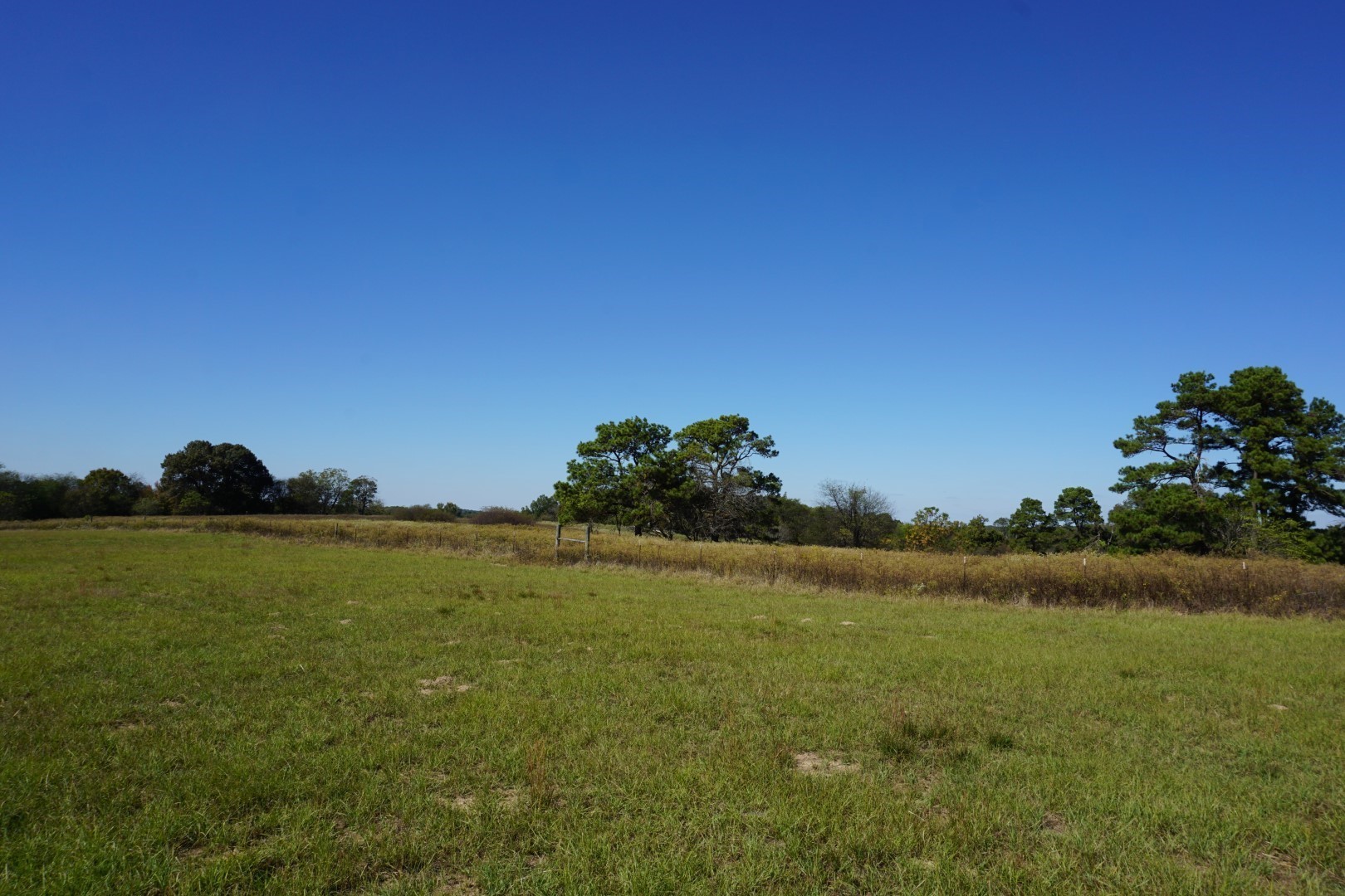 CR4301 Plainview Road Naples TX 75571