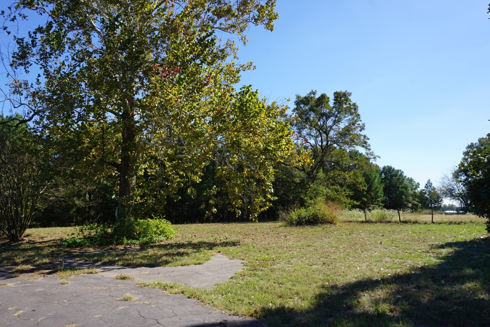 CR4301 Plainview Road Naples TX 75571