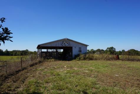 CR4301 Plainview Road Naples TX 75571