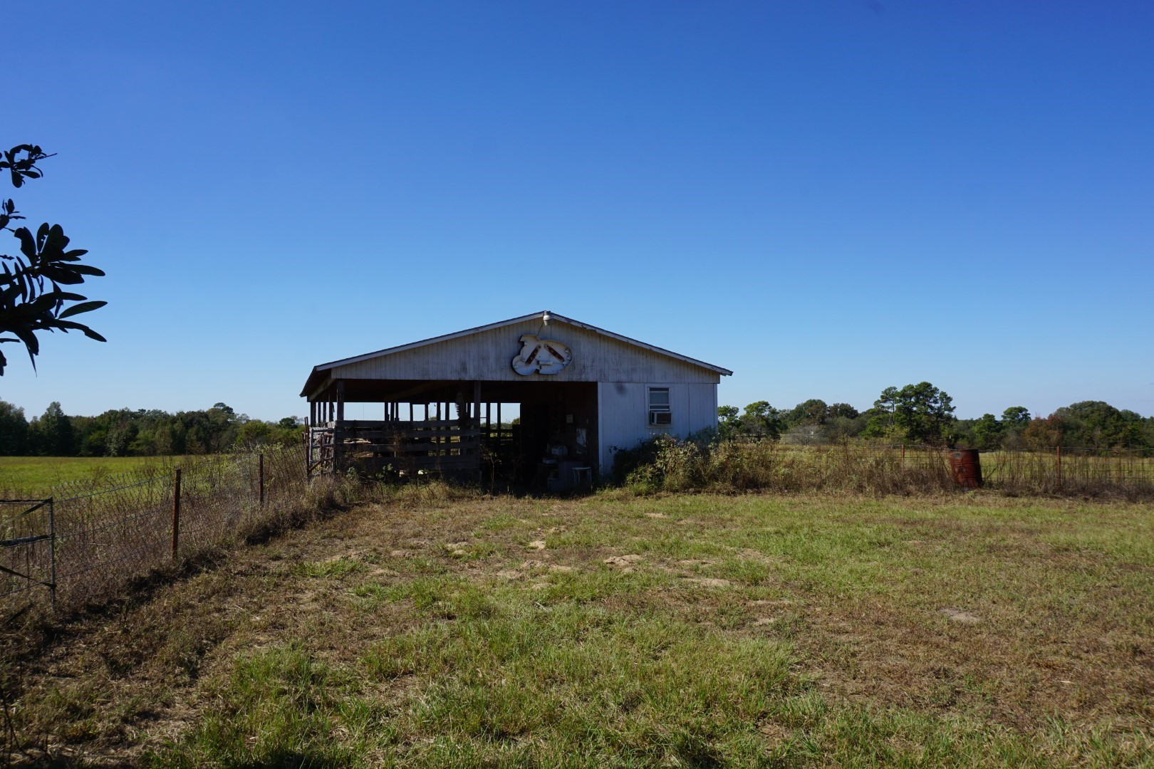 CR4301 Plainview Road Naples TX 75571