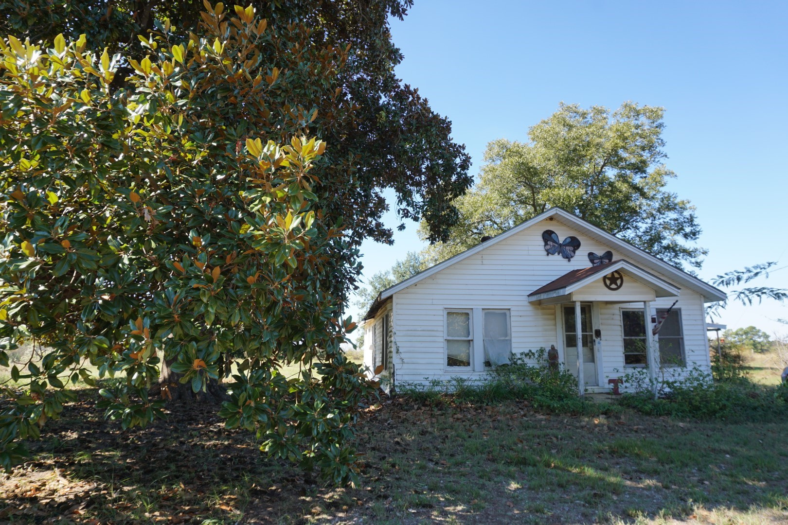 CR4301 Plainview Road Naples TX 75571
